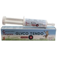 Merycare Glyco Tendo Paste