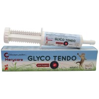 Merycare Glyco Tendo Paste