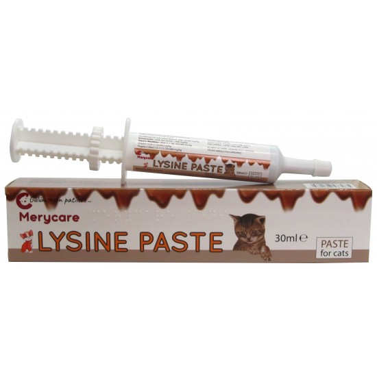 Merycare Lysine Paste